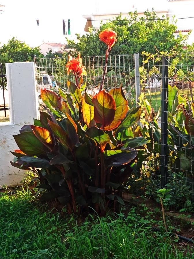 Appartamento Agathi'S House Mytikas  Esterno foto
