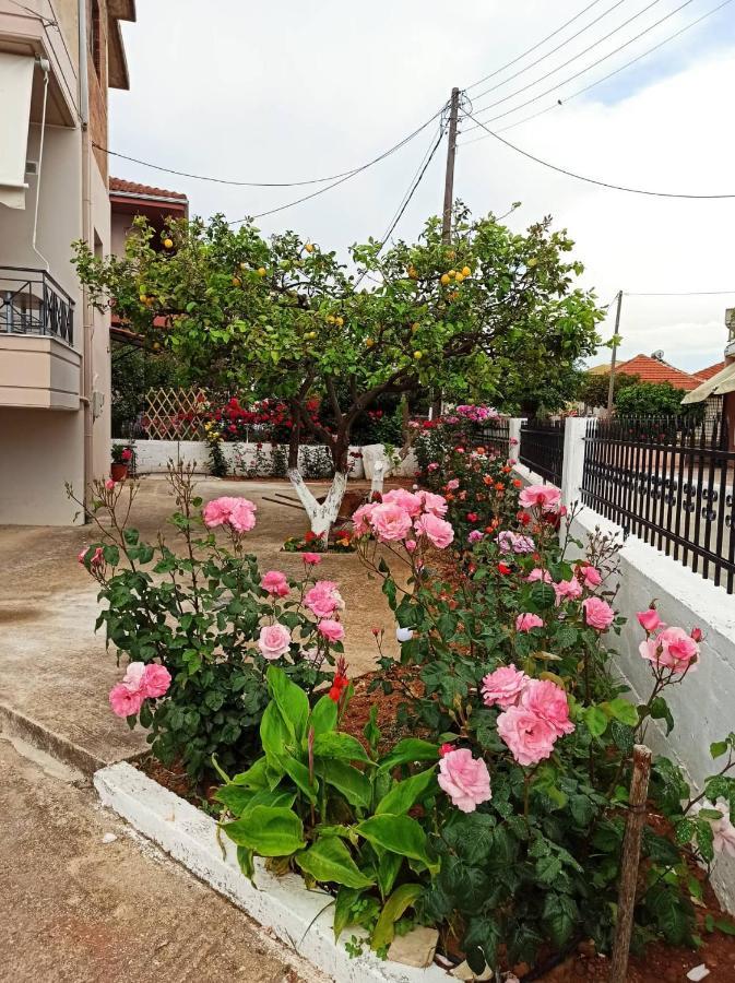 Appartamento Agathi'S House Mytikas  Esterno foto